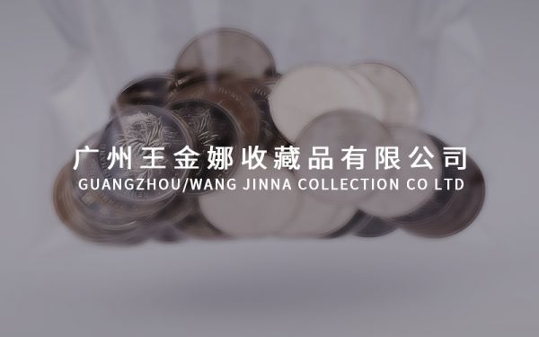 廣州王金娜收藏品有限公司網站作品