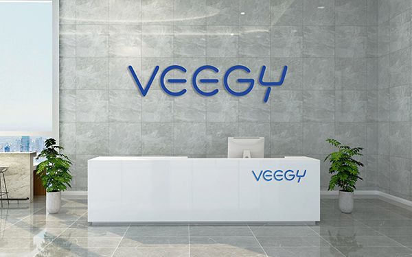 VEEGY匯潔科技網站作品