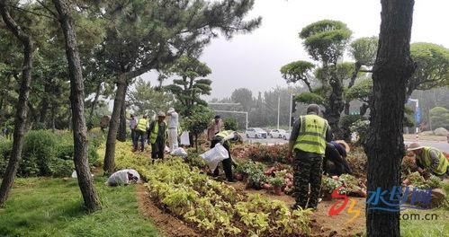 煙臺(tái)園林栽植時(shí)令花卉 扮靚城市景觀